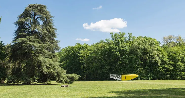 Parc de Mandavit à Gradignan, sentier forestier pour balade avec son chien